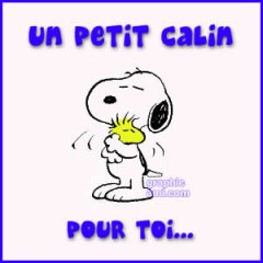 calin.jpg